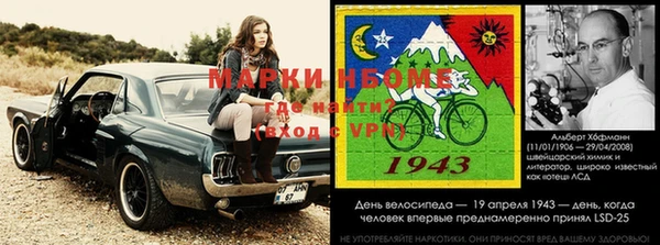 гидропоника Алзамай