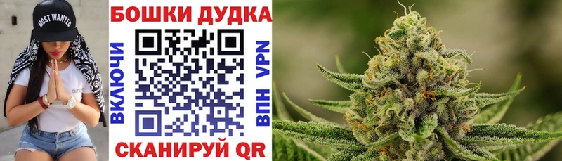 Каннабис Amnesia Сураж